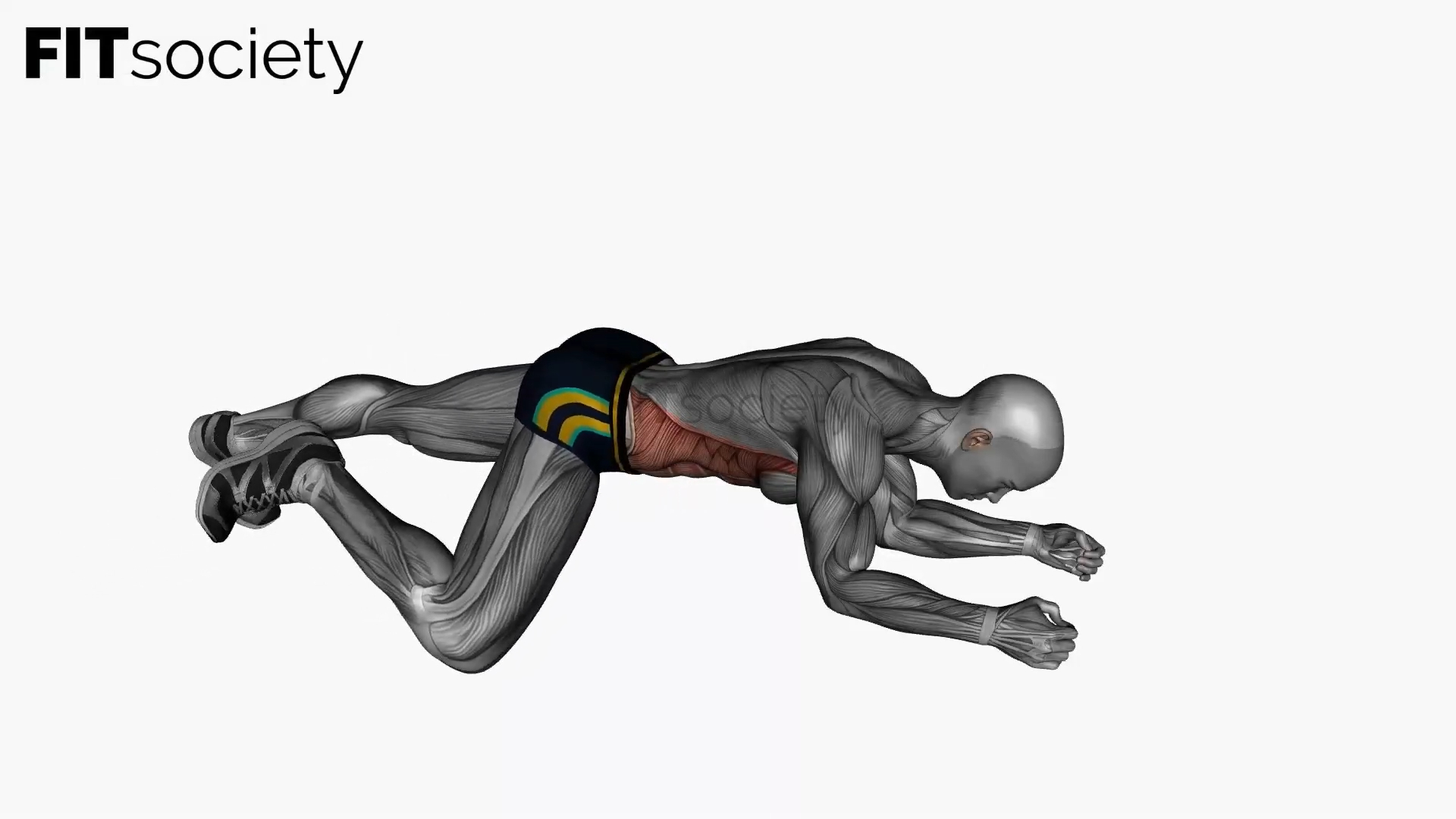 Spider Plank