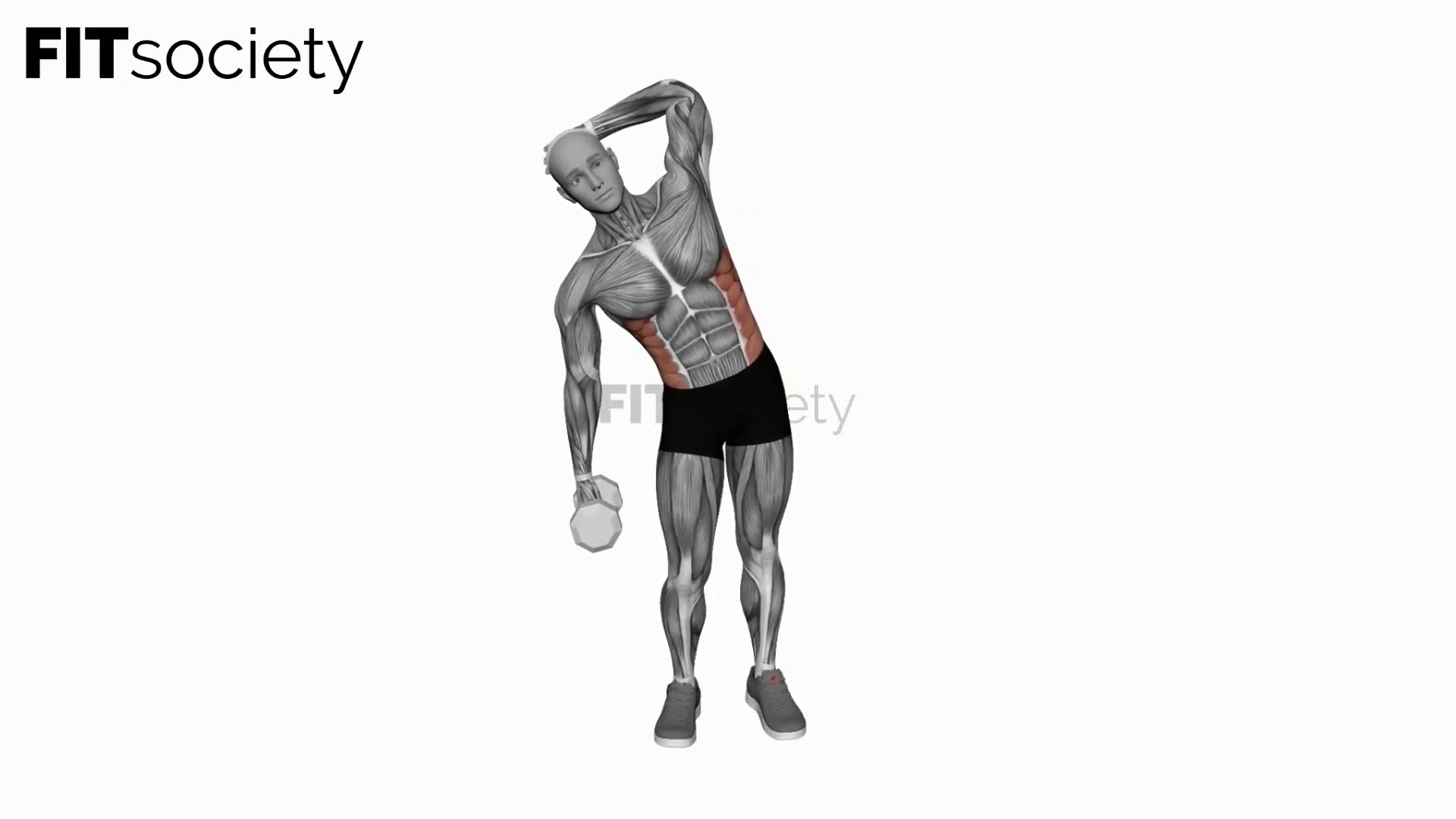 Dumbbell Side Bend