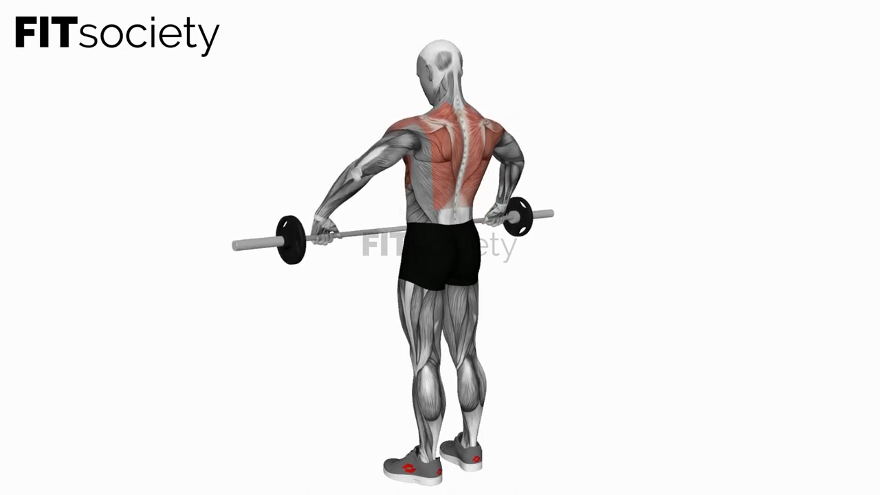 Barbell Wide-Grip Upright Row
