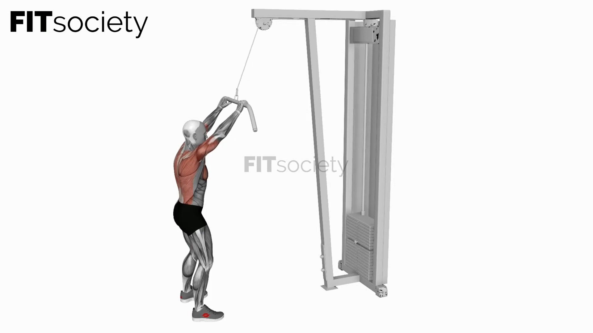 Cable Pushdown (Straight Arm)