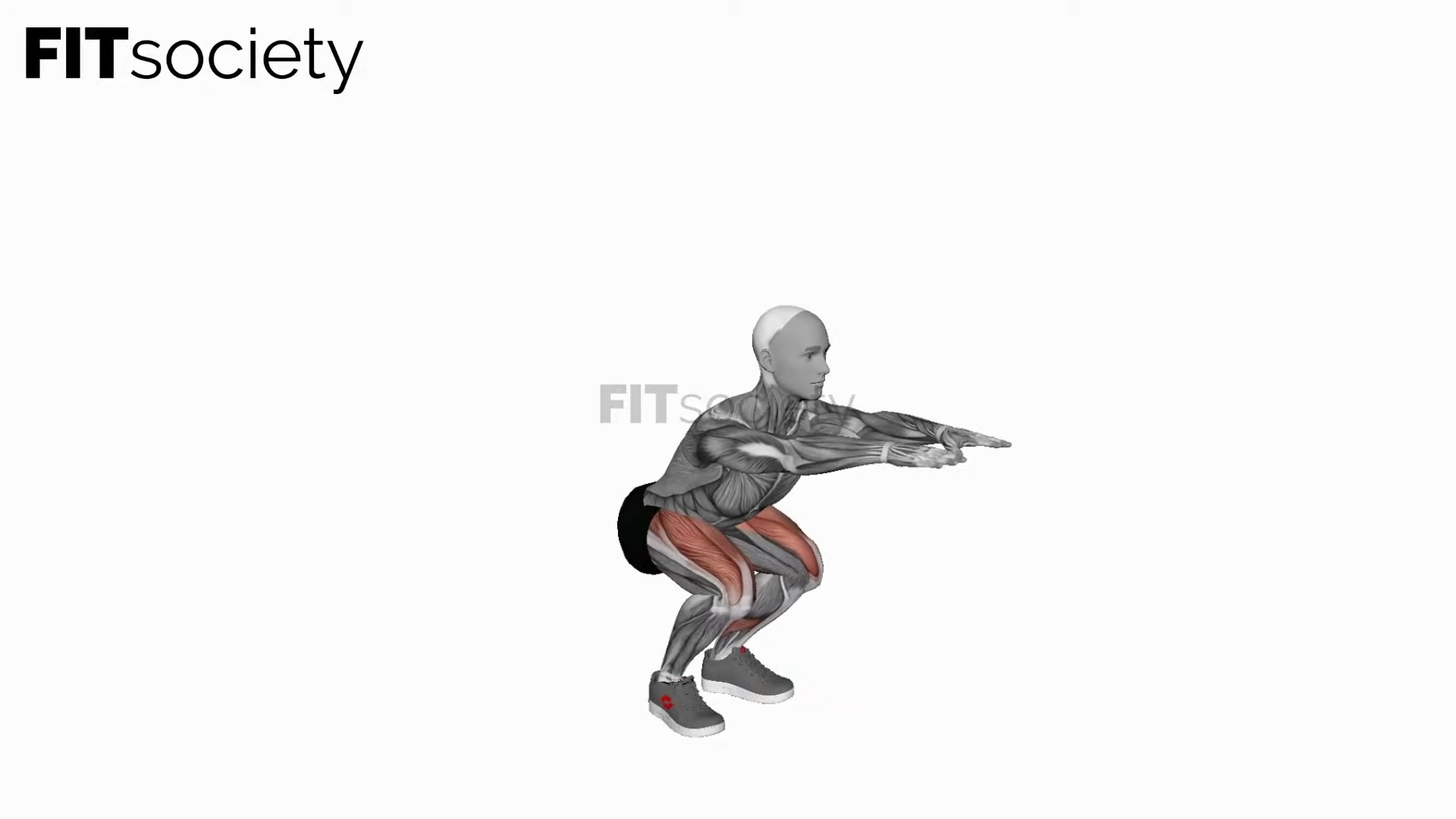 Bodyweight Squat
