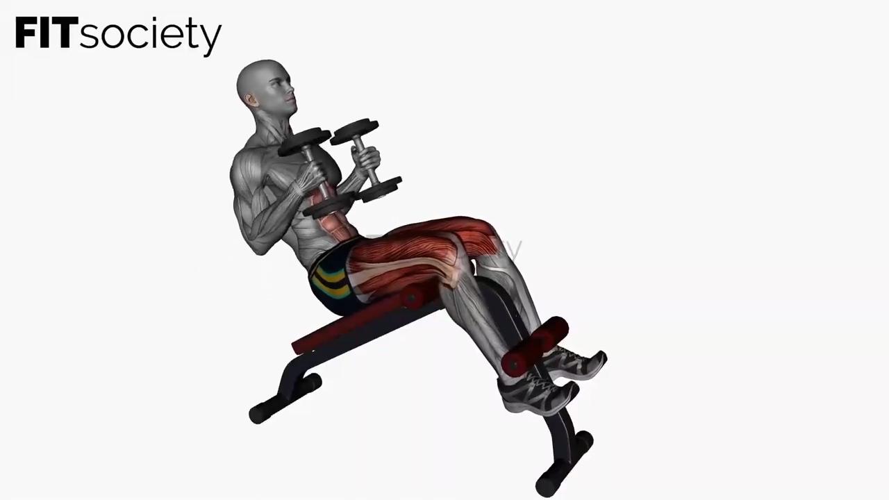 Decline Sit-Ups with Dumbbells