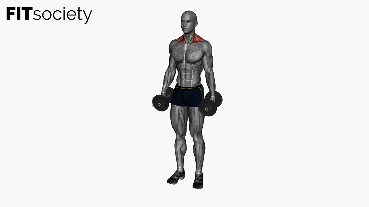 Dumbbell Shrugs