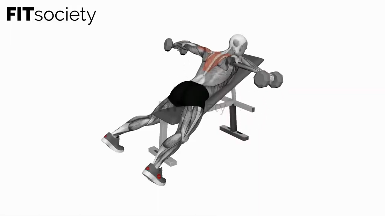 Dumbbell Reverse Fly