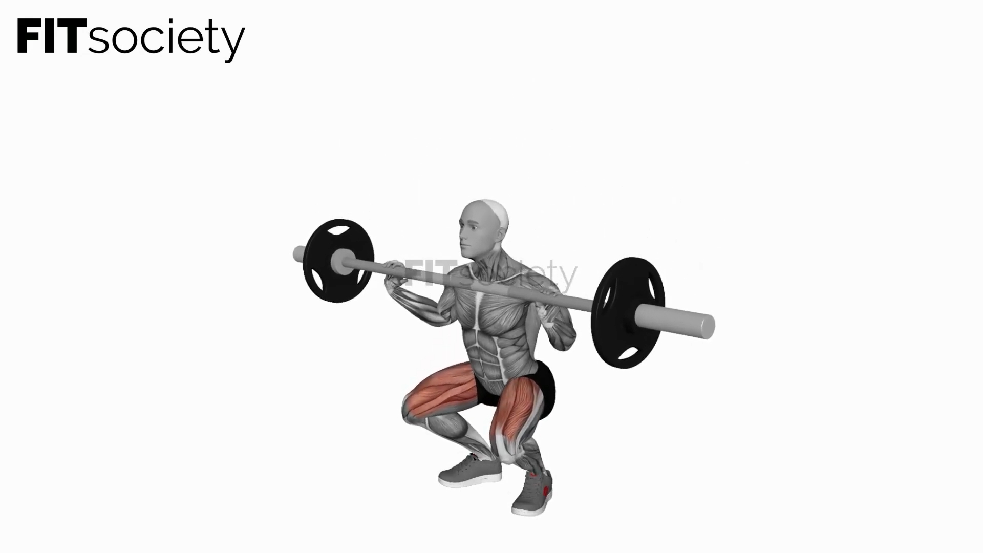 Squat avant avec barre sur la poitrine
