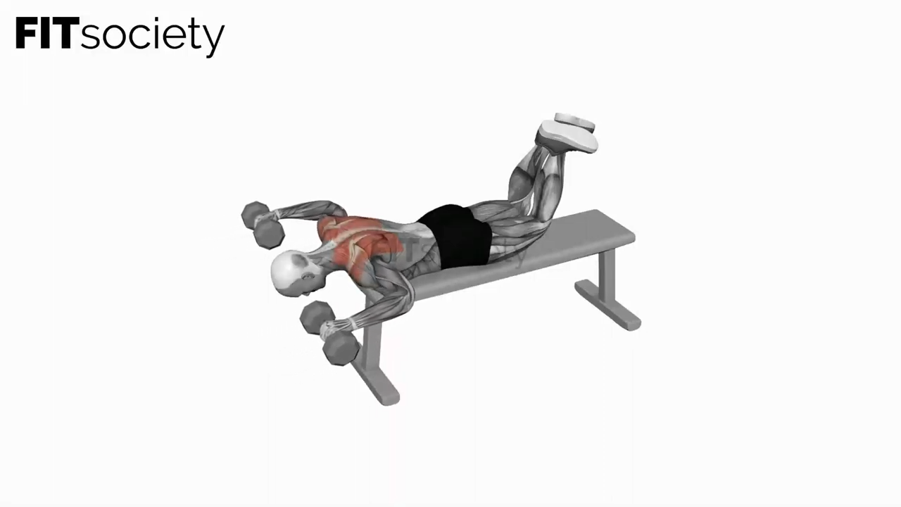 Dumbbell Lying Rear Lateral Raise
