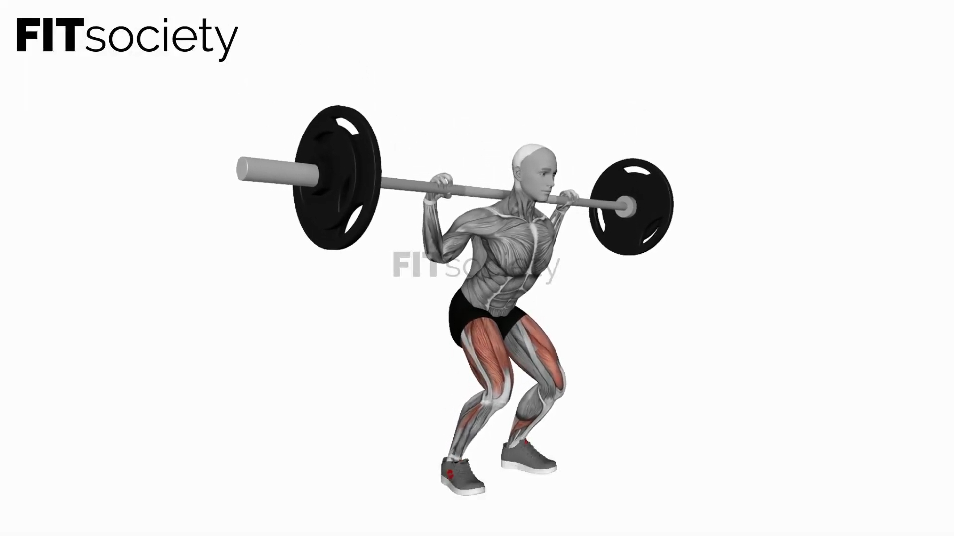 Barbell Quarter Squat
