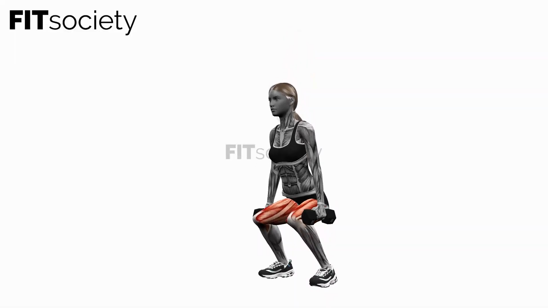 Squats avec haltères