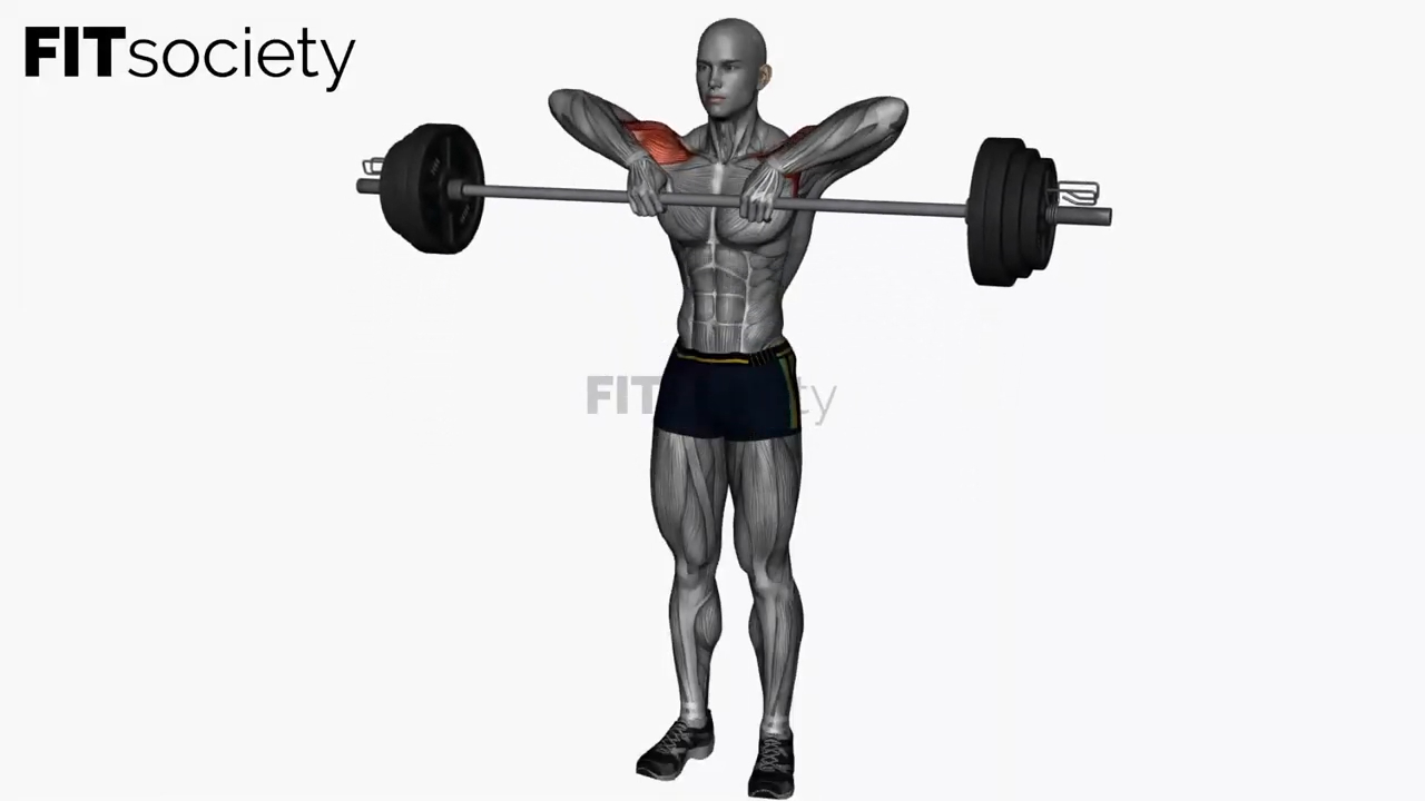 Barbell Upright Row