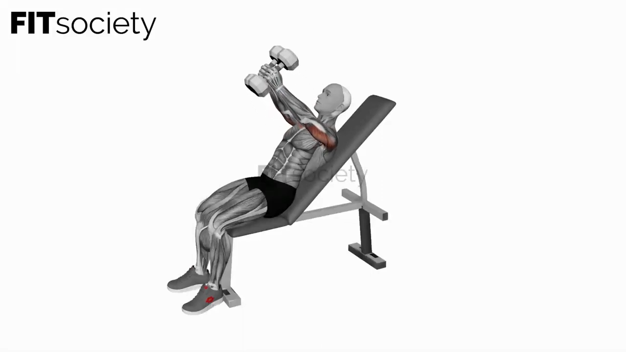 Dumbbell Incline Hammer Shoulder Press