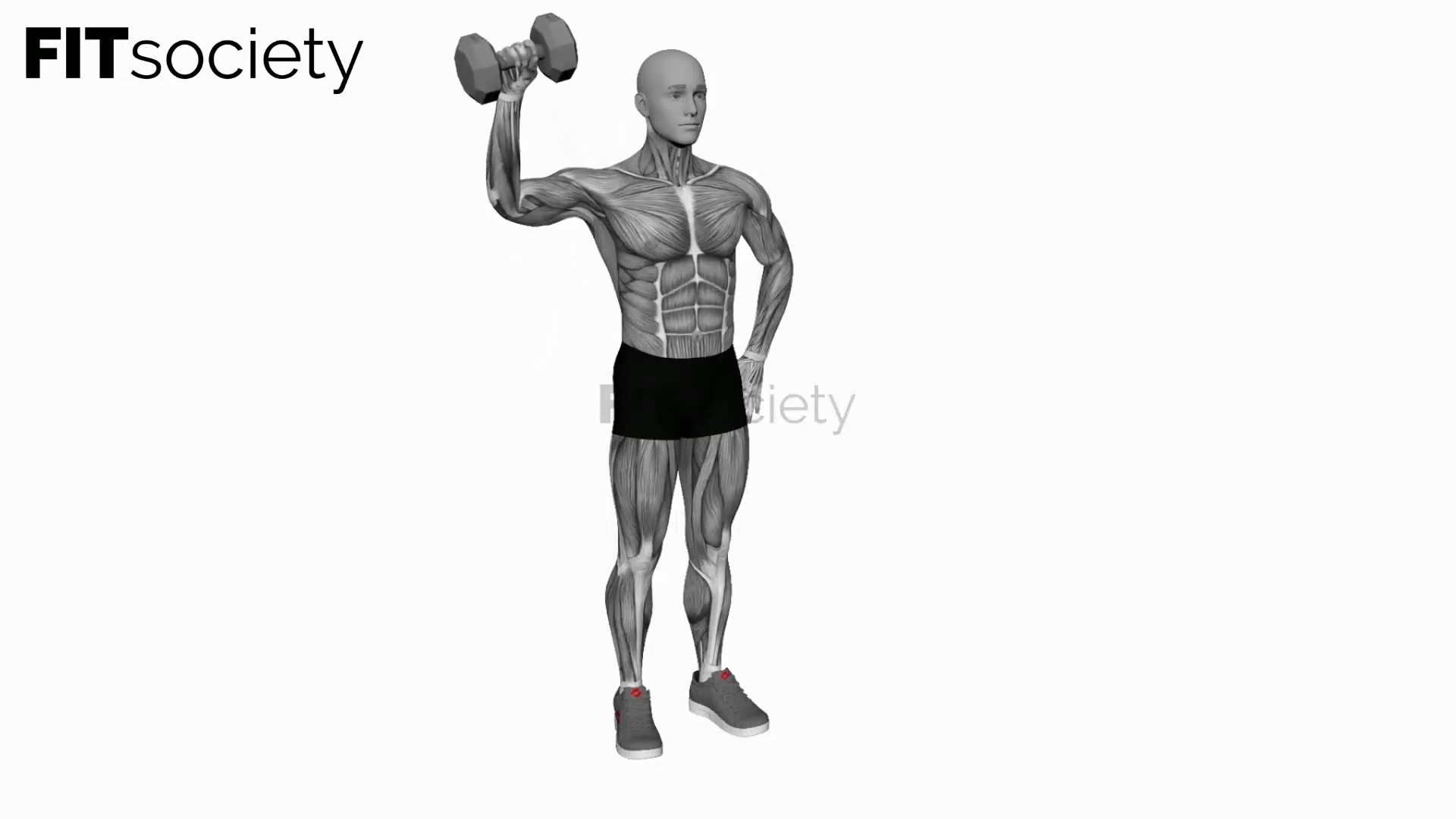 Dumbbell Upright Shoulder External Rotation