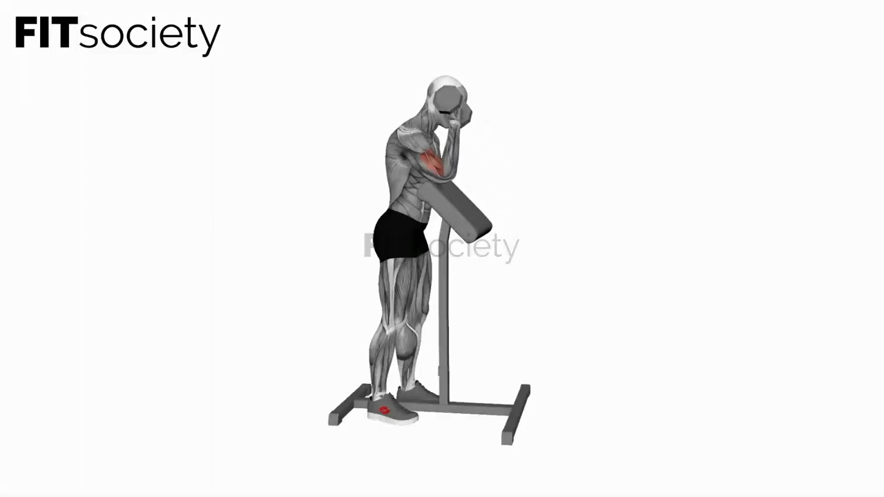 Dumbbell Standing Preacher Curl
