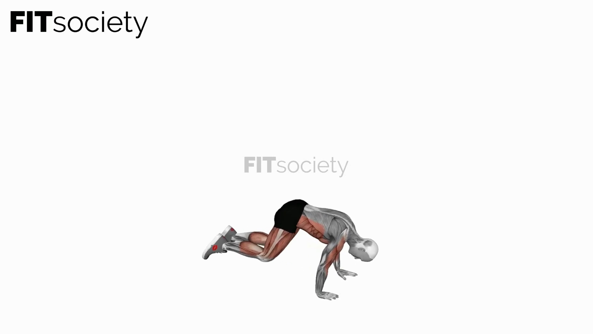 Burpee