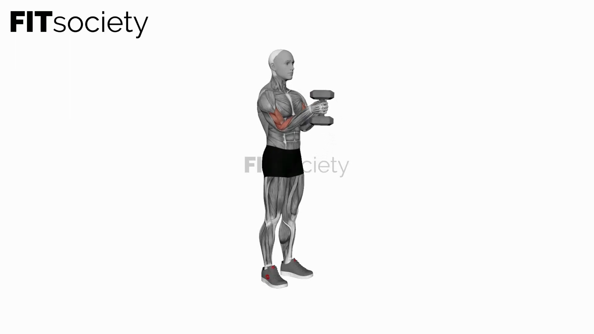 Dumbbell Waiter Curl