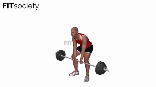 Barbell Pull