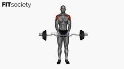 EZ-Bar Upright Row