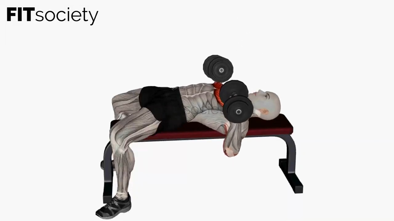 Flat Dumbbell Chest Press