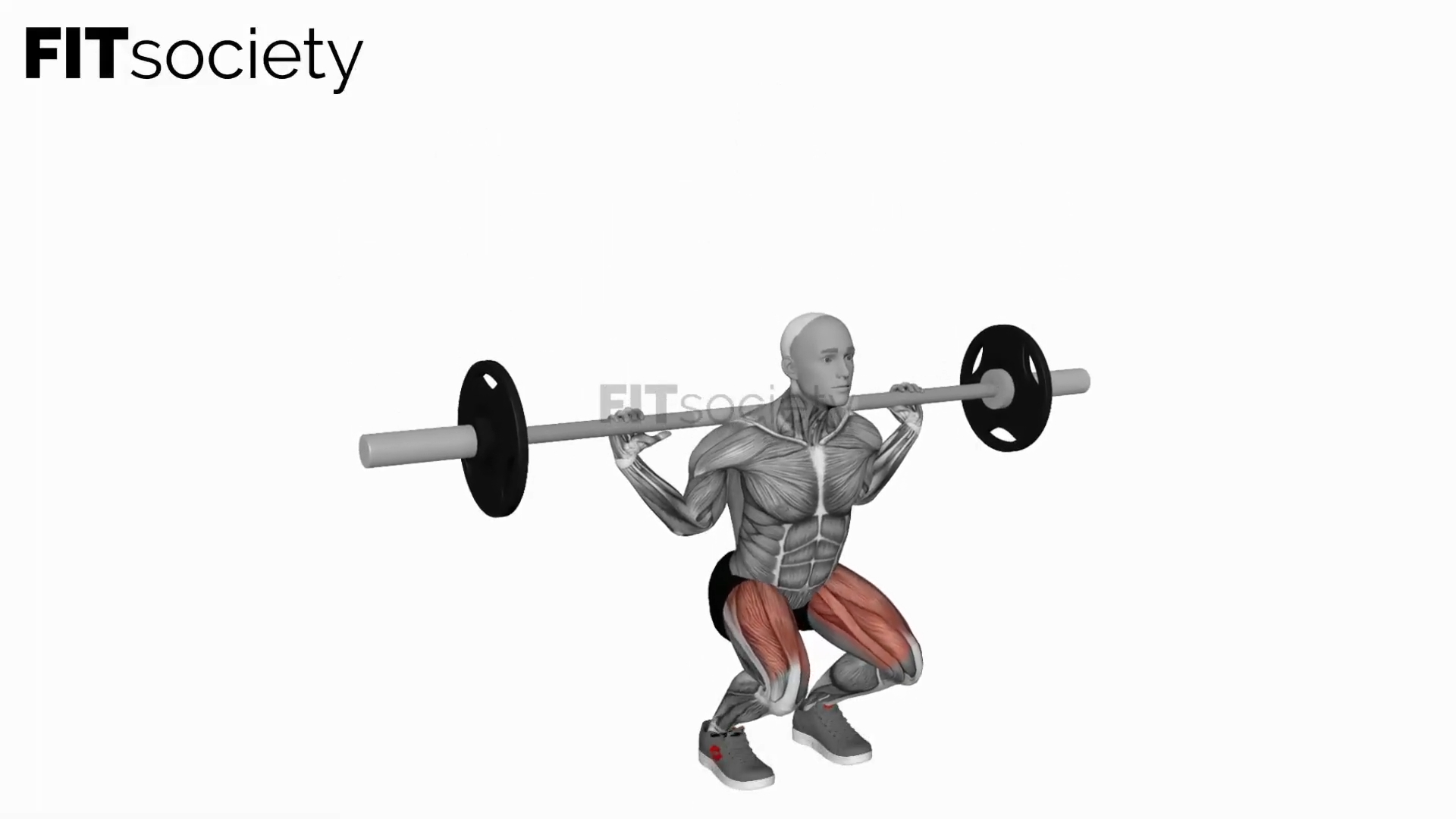 Barbell Narrow Stance Squat