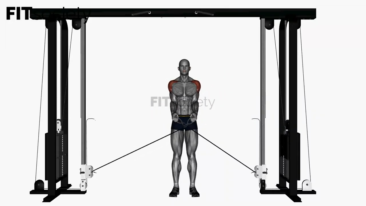 Cable Lateral Raises