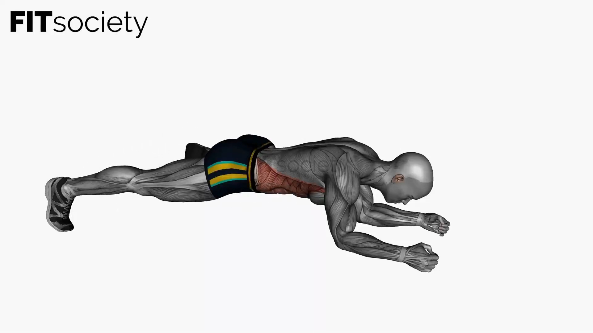 Spider Plank