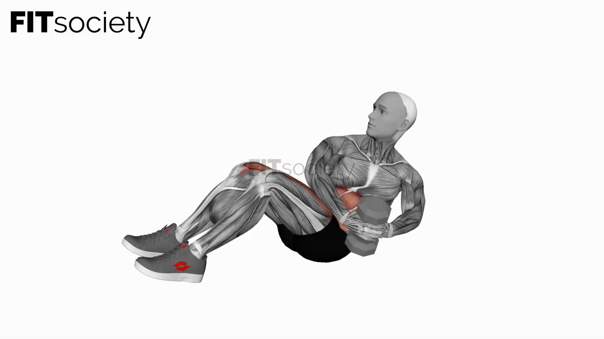 Dumbbell Russian Twist With Legs Floor Off