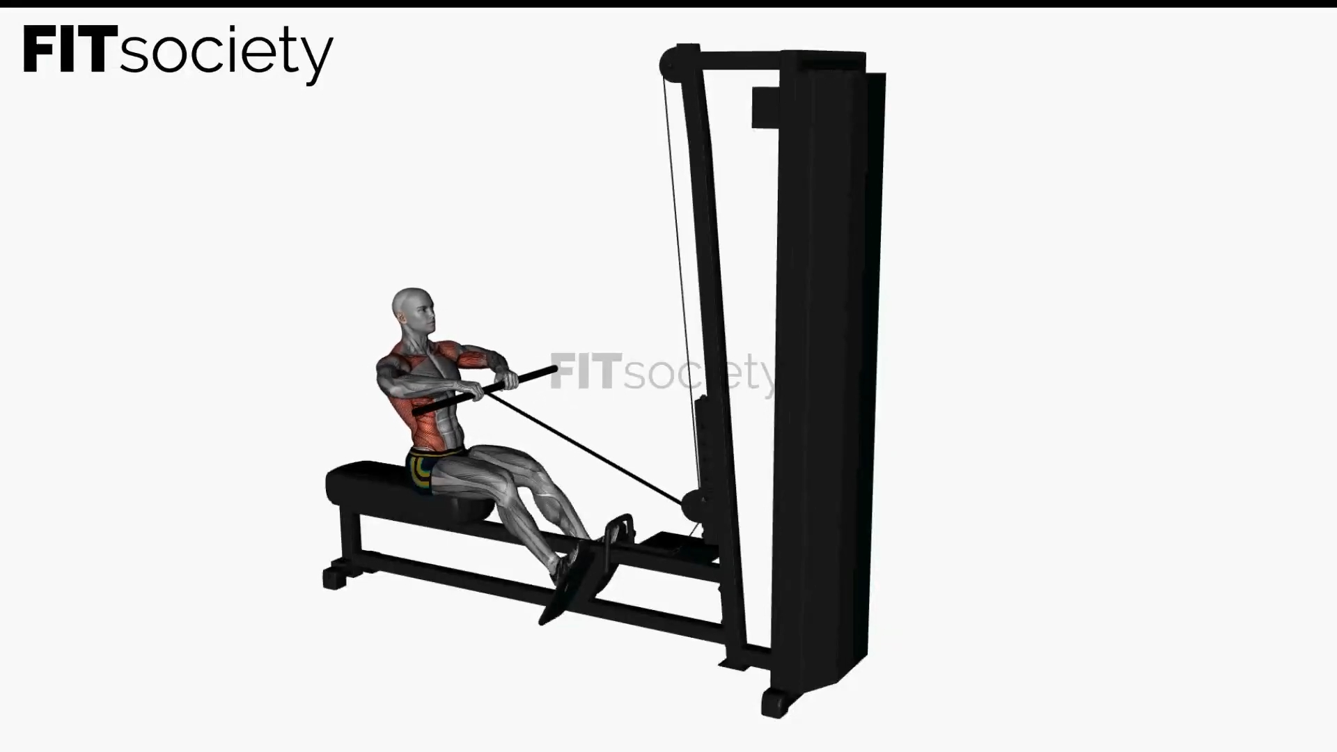 Straight Bar Cable Row Close Grip