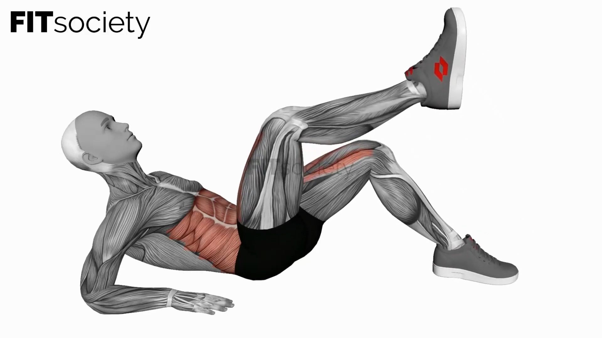 Alternate Toe Tap Leg Lift