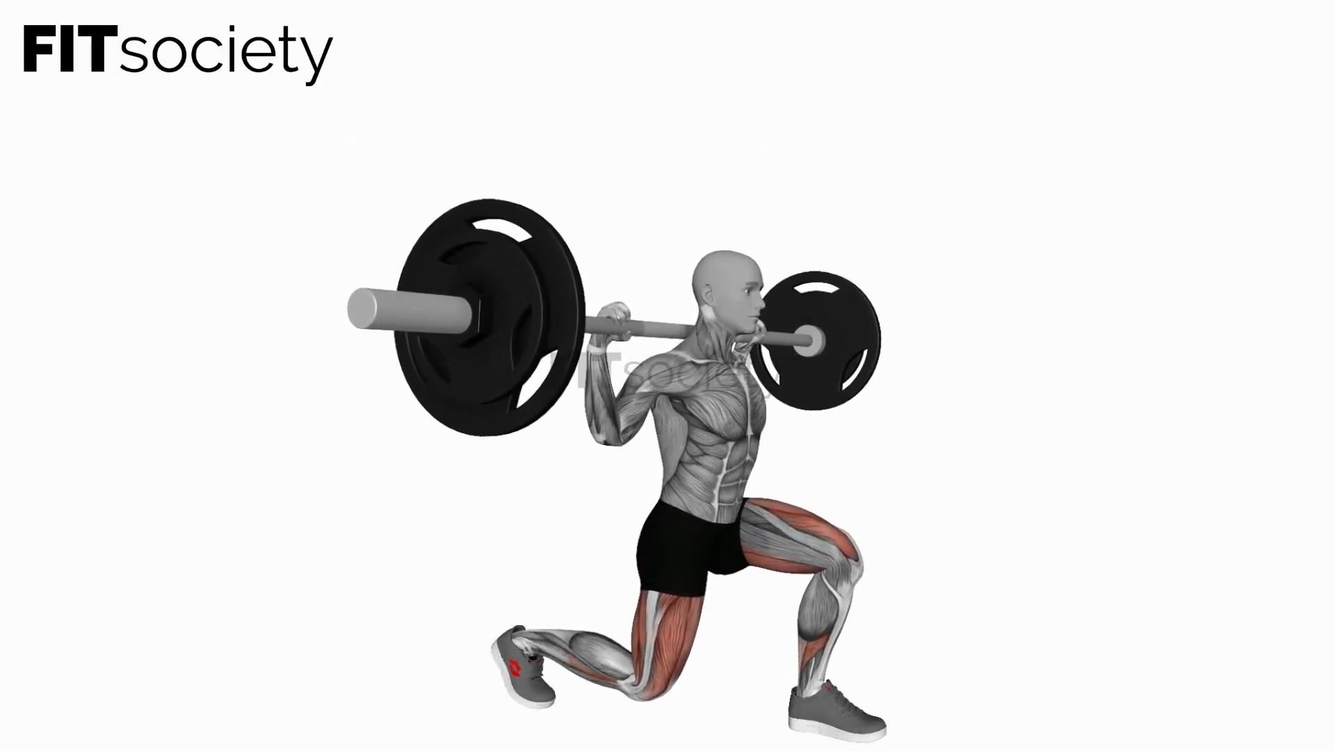 Barbell Split Squat