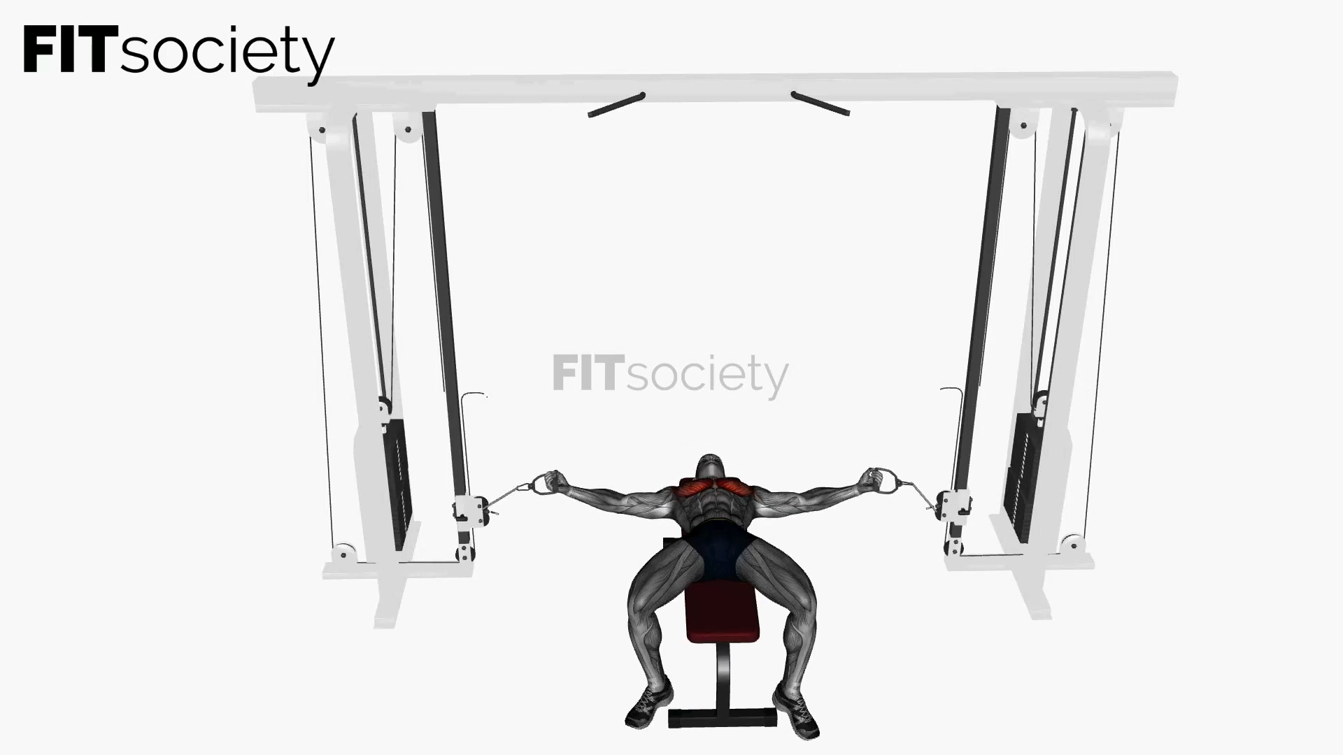 Flat Bench Cable Fly