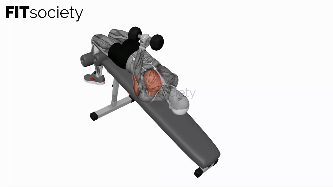 Dumbbell Decline One-Arm Hammer Press