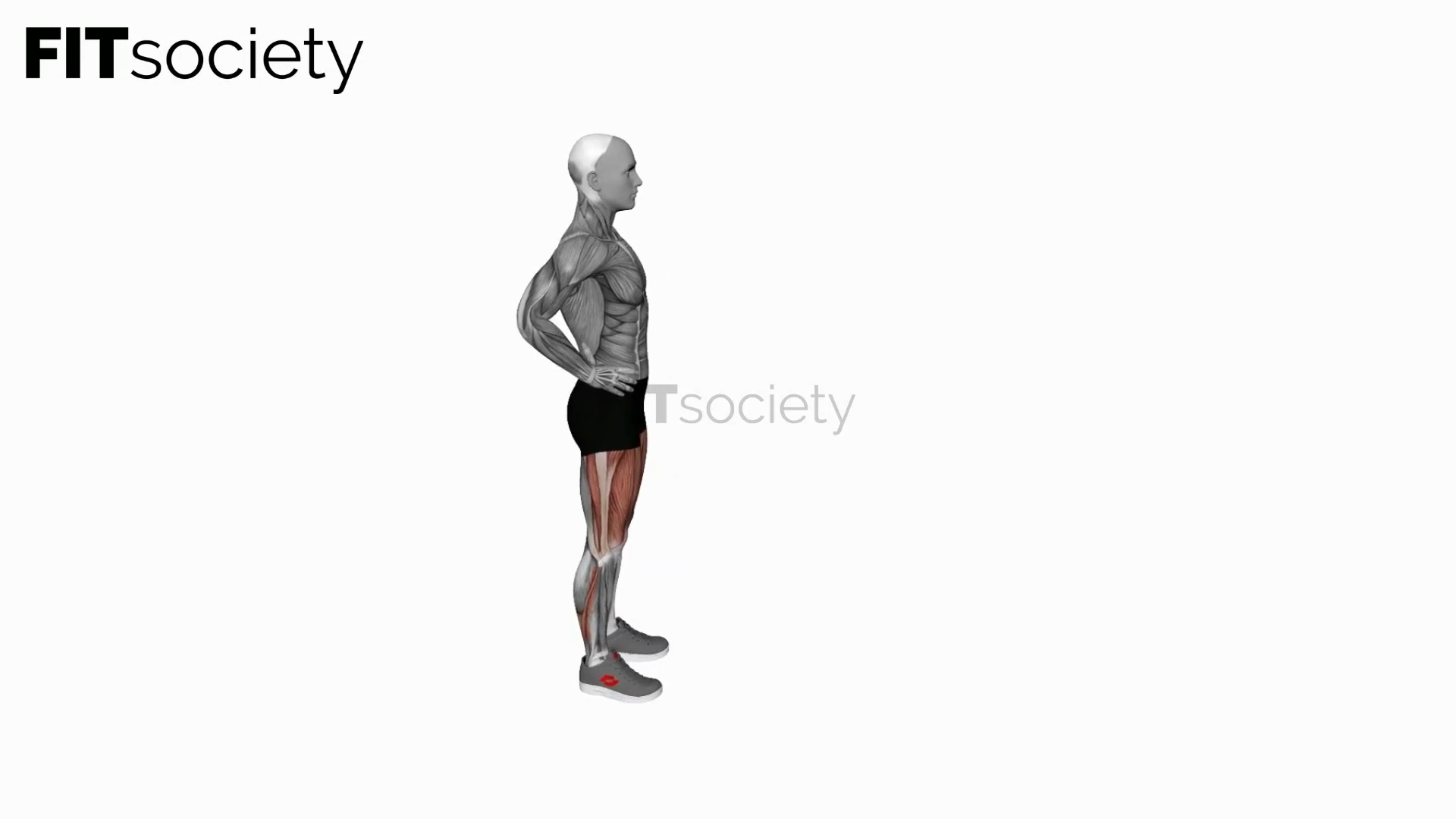 Bodyweight Forward Lunge
