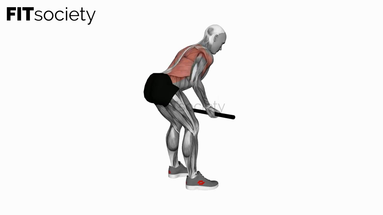 Rowing buste penché avec barre