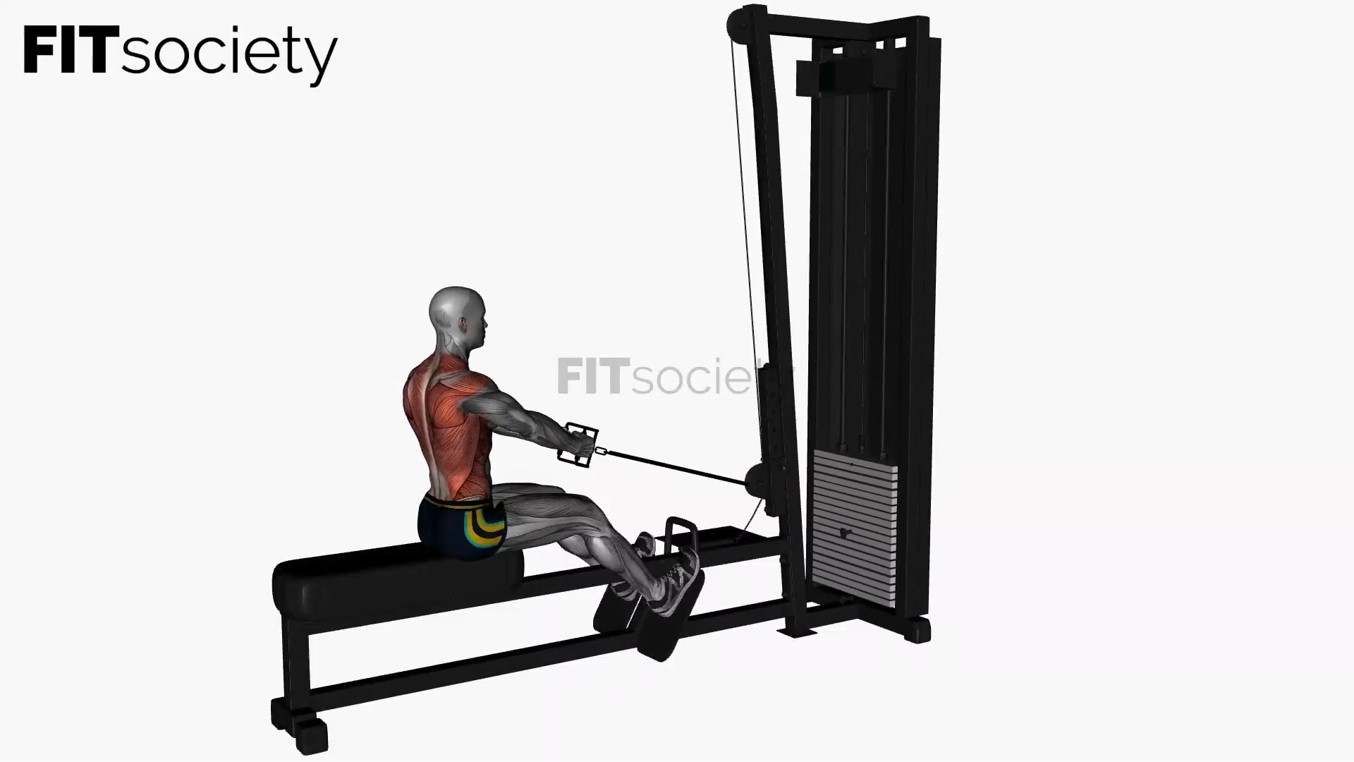 Seated Cable Row V-Bar Machine