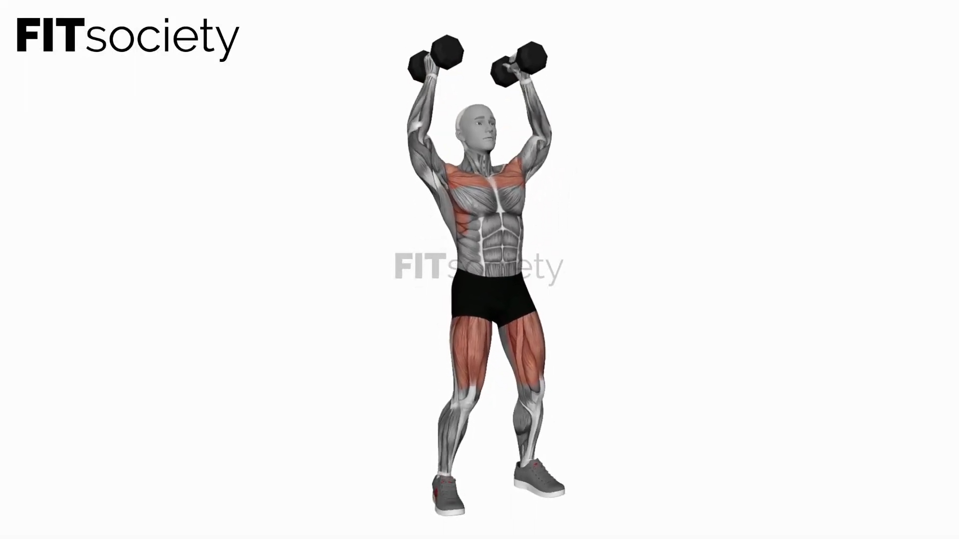 Dumbbell Push Press