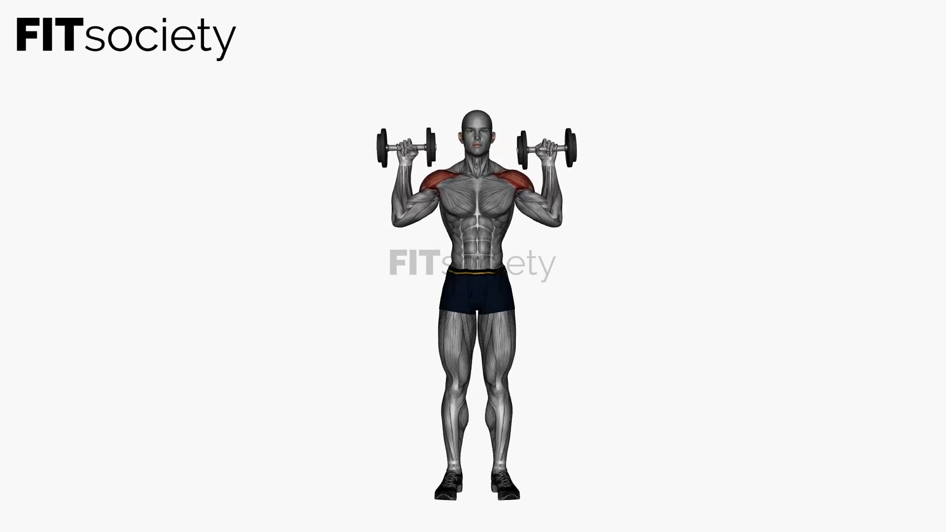 Standing Shoulder Press Dumbbell