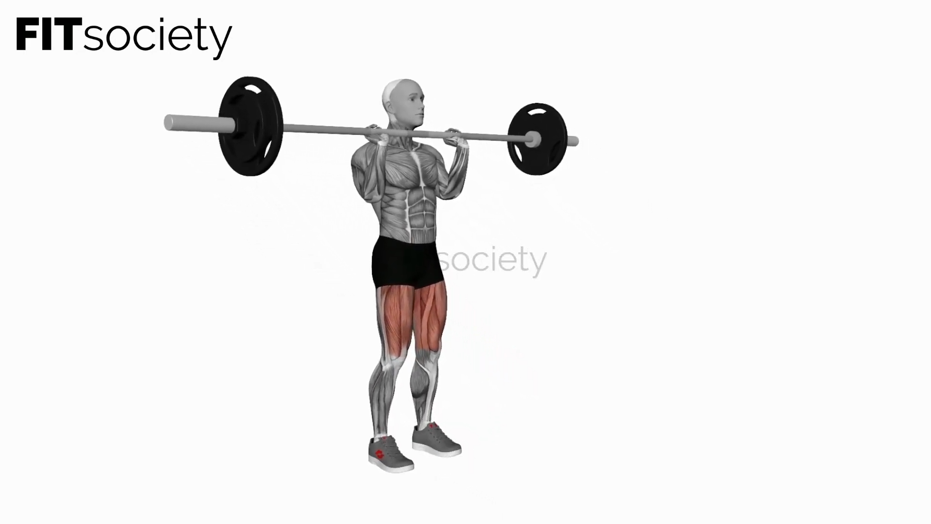 Barbell Front Chest Lunges