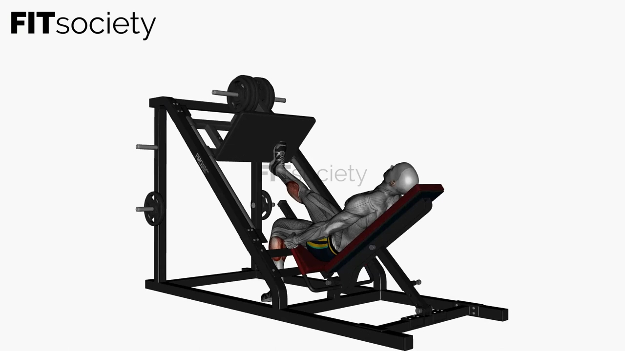 Single Leg Calf Raise Leg Press Machine