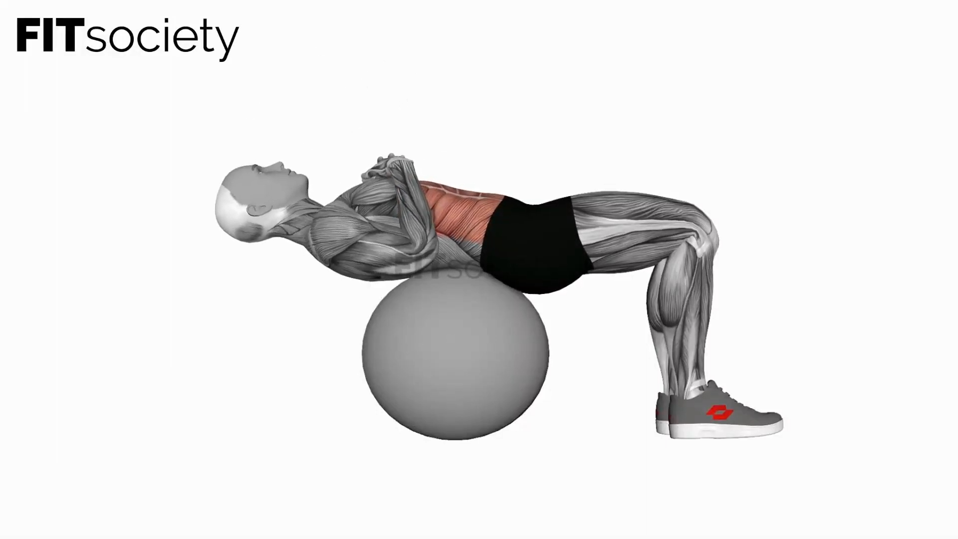 Crunch (On Stability Ball)