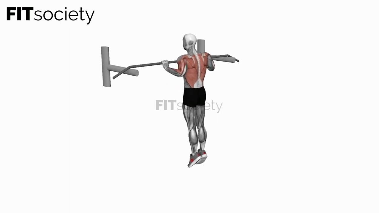 Muscle-up au poids du corps