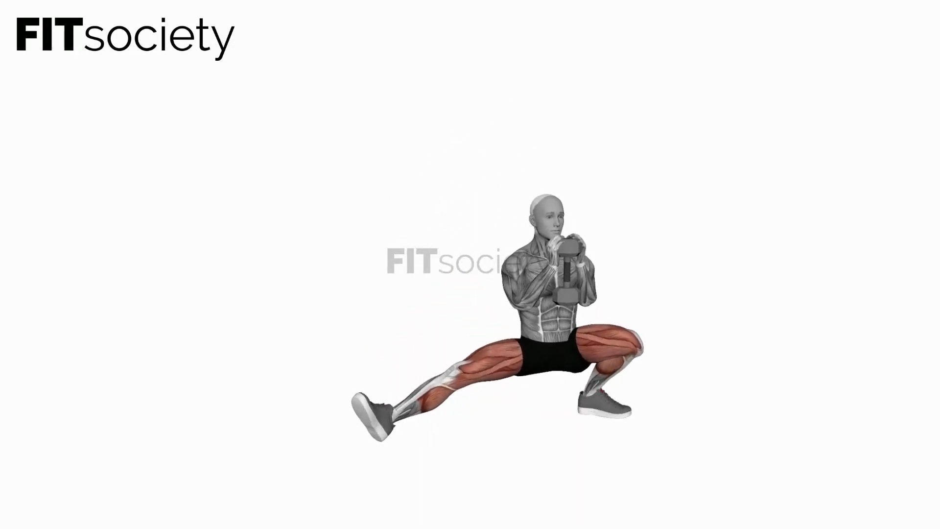 Dumbbell Cossack Squats (Version 2)