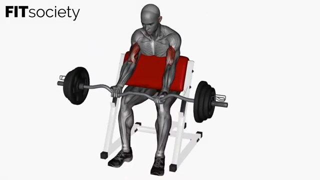 Curl au pupitre avec barre EZ