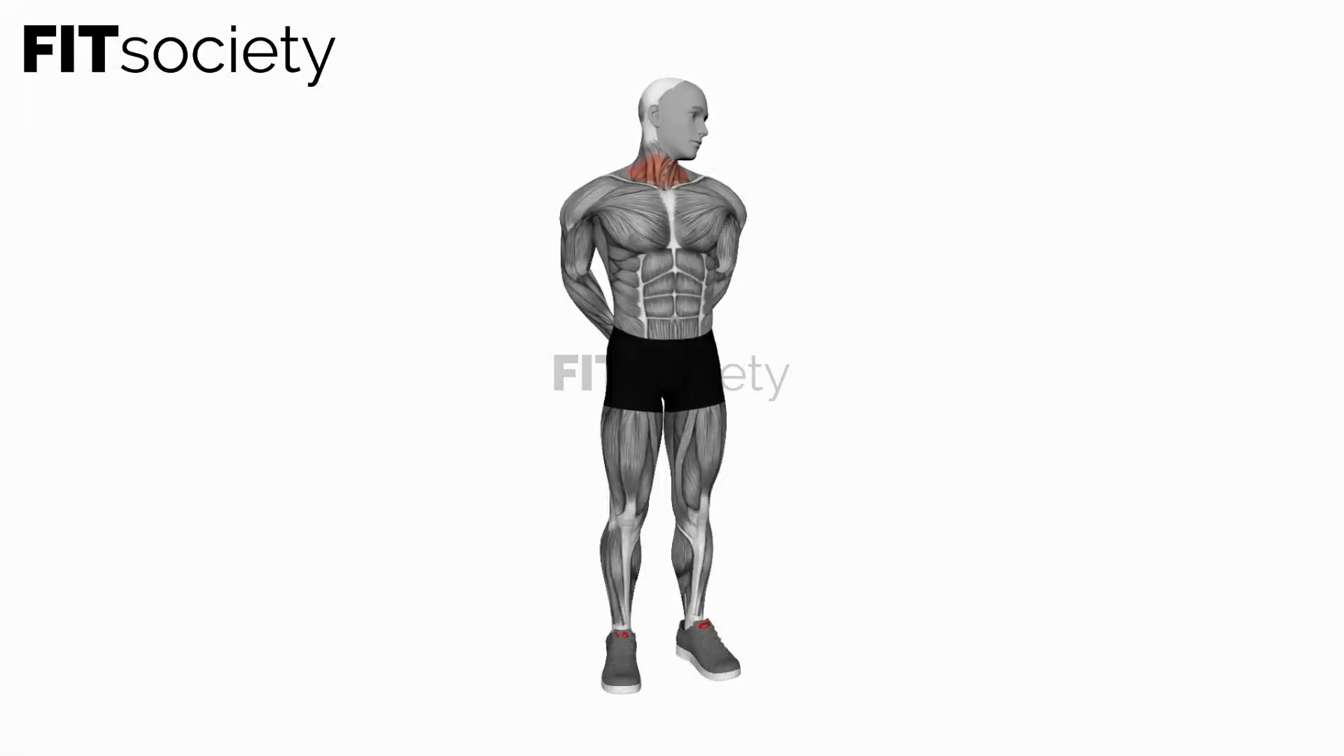 Extension and Inclination Neck Stretch