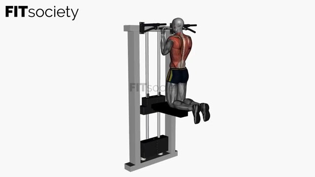 Assisted Chin-Up Normal-Width Underhand Grip