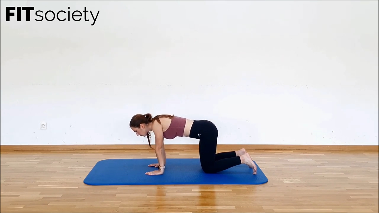 Quadruped Shoulder Rotation