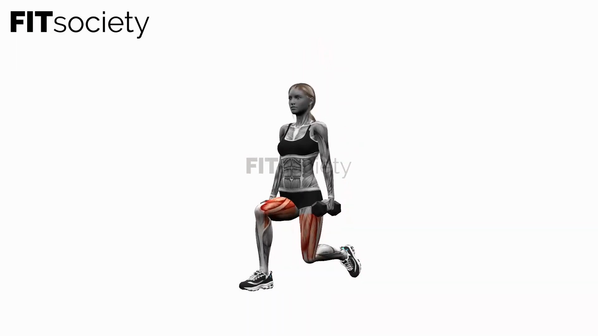 Dumbbell Lunge Pulse