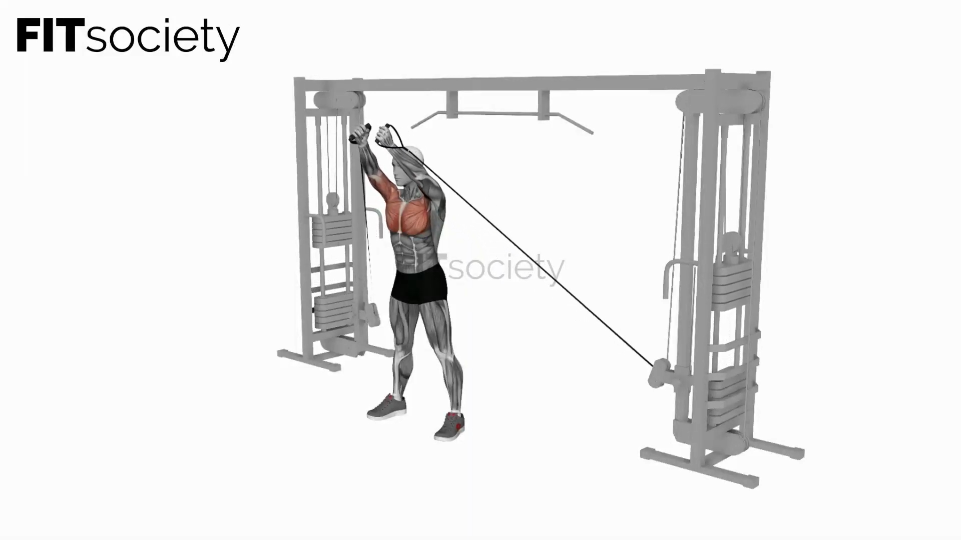 Cable Upper Chest Crossovers