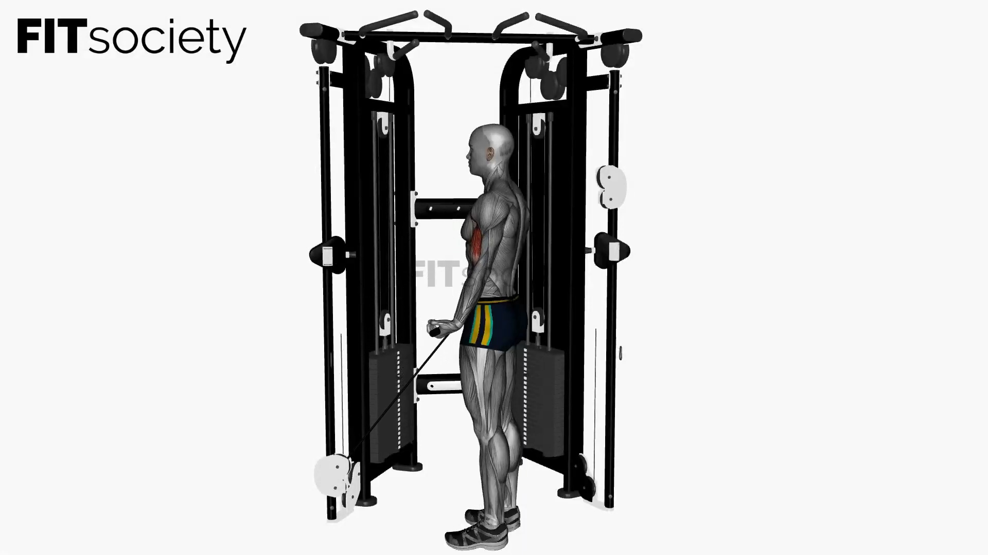 Biceps Curl Cable Wide Grip Crossover Machine