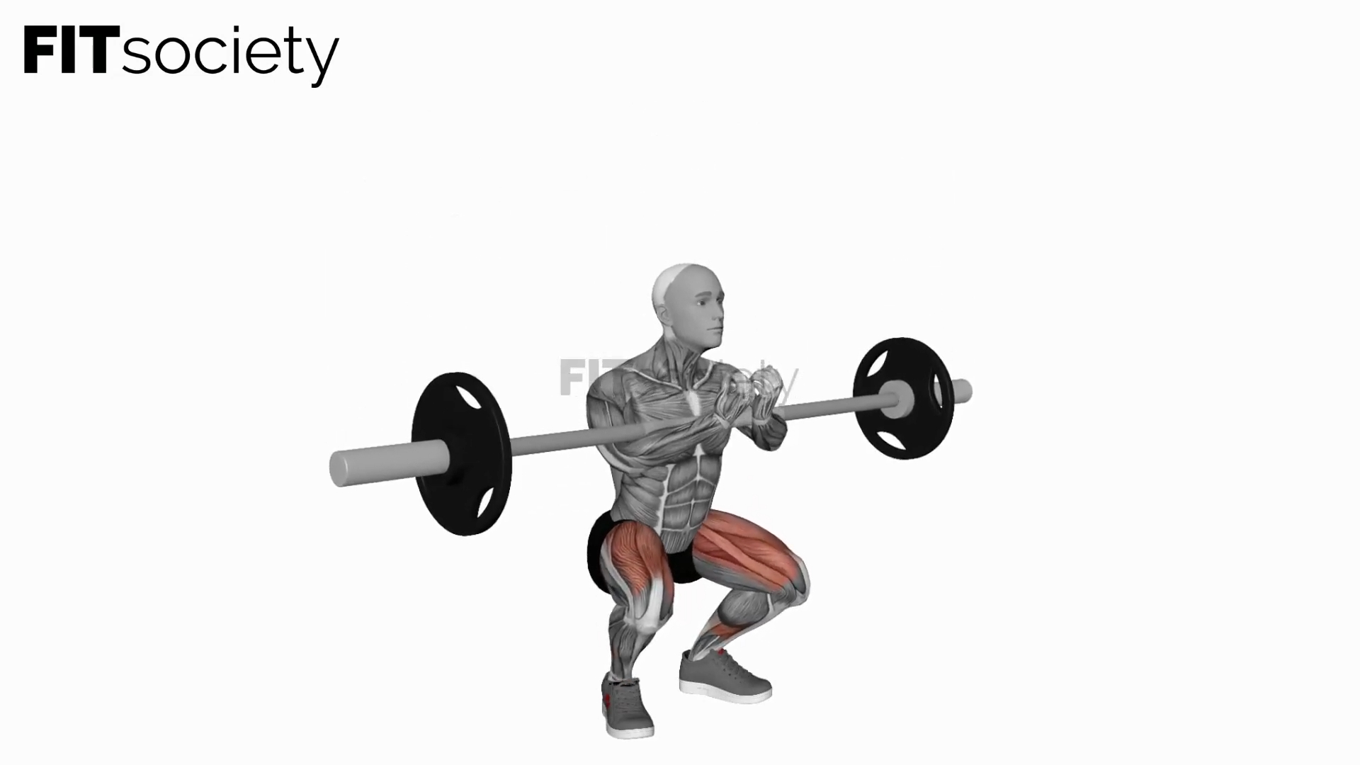 Barbell Zercher Squat