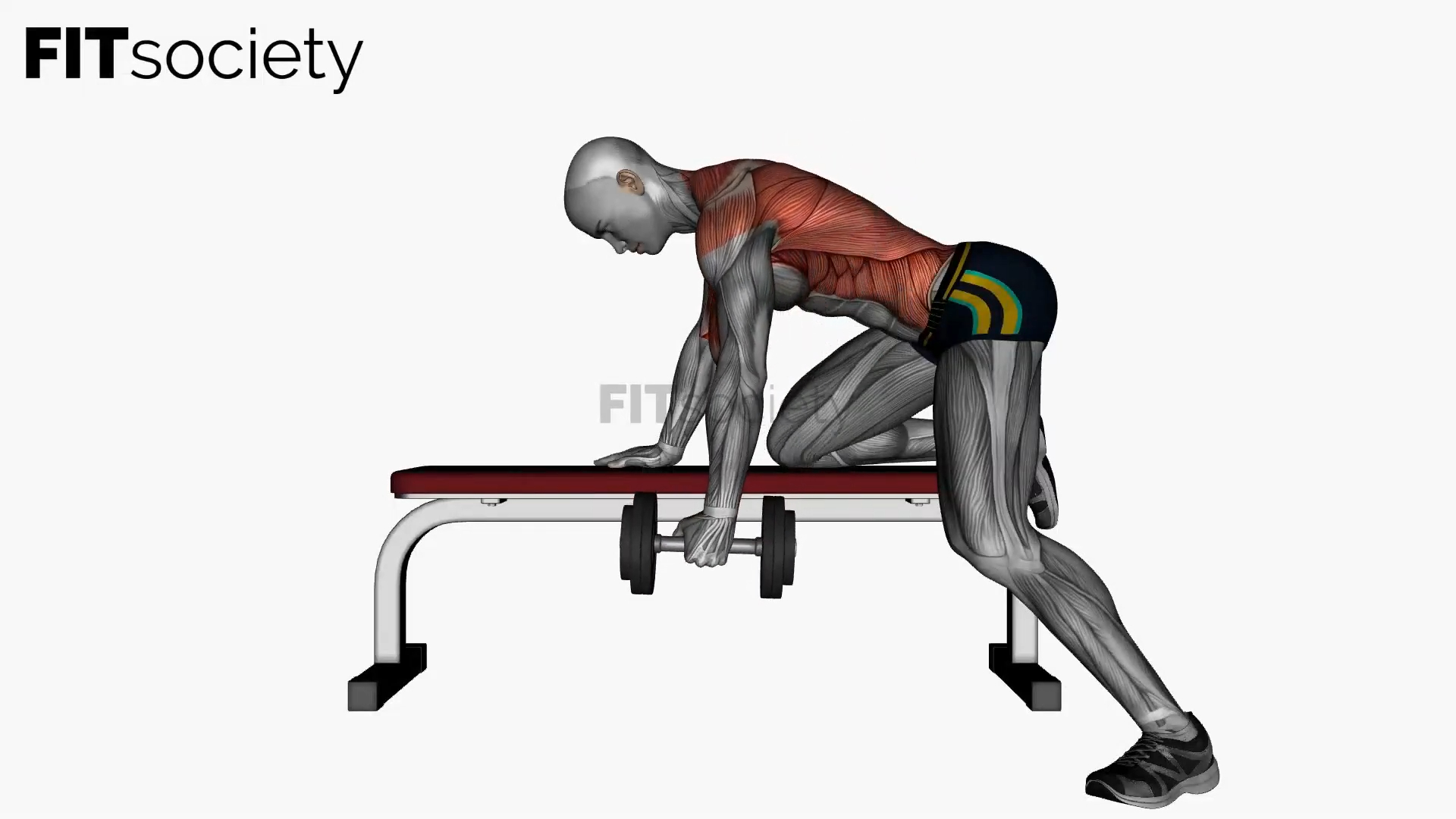Single-Arm Bench Bent-Over Row