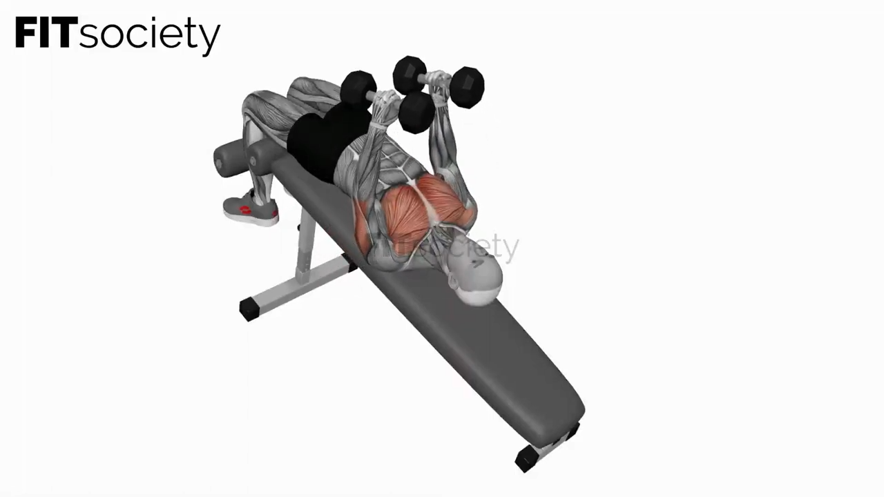 Dumbbell Decline Hammer Press